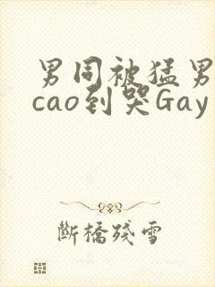 男同被猛男房东cao到哭Gay