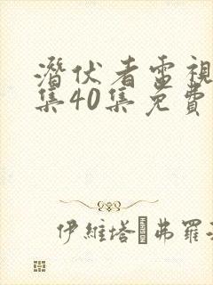 潜伏者电视剧全集40集免费观看潜伏
