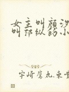 女主叫颜汐男主叫祁纵的小说名字