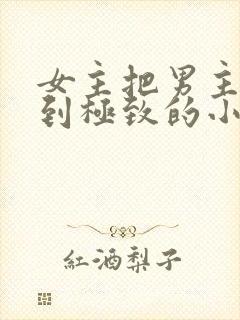 女主把男主囚禁到极致的小说封面