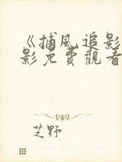 《捕风追影》电影免费观看封面