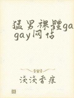猛男裸体gay gay网站封面