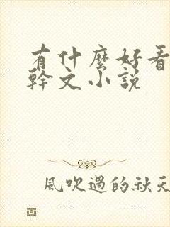 有什么好看的高干文小说