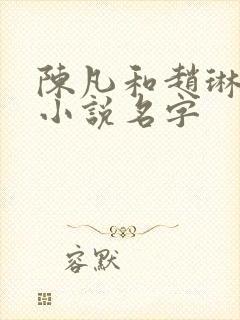 陈凡和赵琳琳的小说名字封面