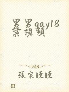 男男gay18禁视频