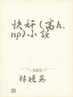 快奸 (高h.np)小说