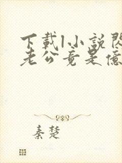 下载l小说闪婚老公竟是亿万总裁全部封面