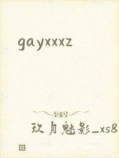 gayxxxz