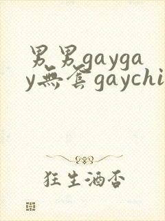 男男gaygay无套gaychina