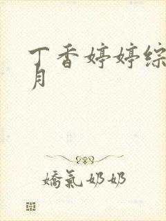 丁香婷婷综合六月