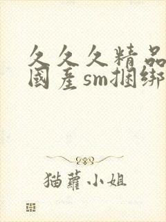 久久久精品调教国产sm捆绑封面