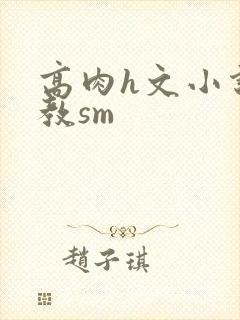高肉h文小说调教sm