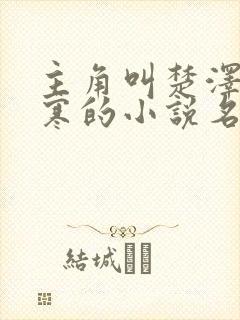 主角叫楚泽顾清寒的小说名字