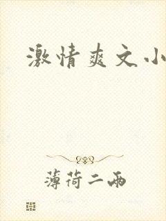 激情爽文小文章