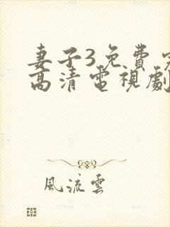妻子3免费完整高清电视剧在线观看