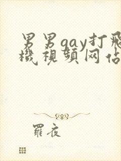 男男gay打飞机视频网站