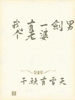 我有一剑男主几个老婆