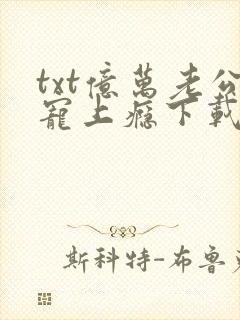 txt亿万老公宠上瘾下载