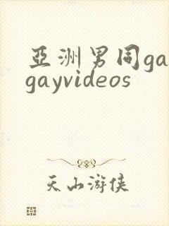 亚洲男同gaygayvideos