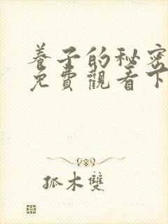 书籍封面