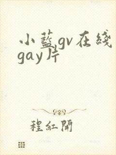 小蓝gv在线看gay片
