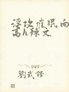 淫攻催眠向np高h辣文