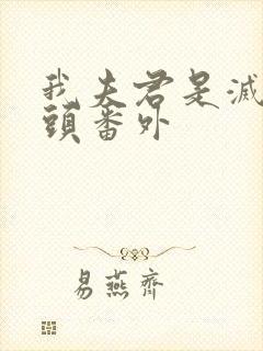 我夫君是灭世魔头番外