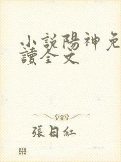 小说阳神免费阅读全文