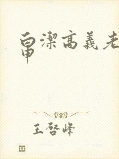白洁高义老七王申封面