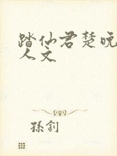 踏仙君楚晚宁同人文