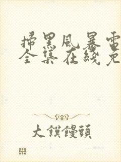 扫黑风暴电视剧全集在线免费观看封面