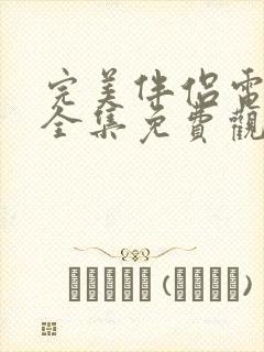 完美伴侣电视剧全集免费观看完整版