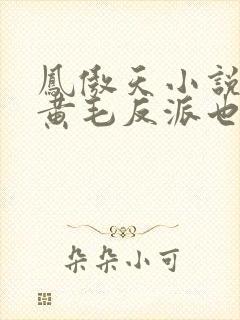 凤傲天小说里的黄毛反派也想要幸福小说