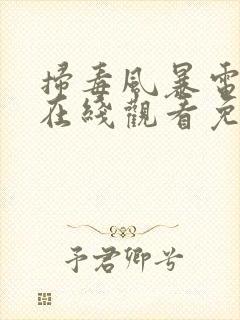 扫毒风暴电视剧在线观看免费高清