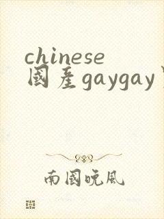 chinese国产gaygay男男网站