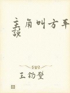 主角叫方平的小说封面