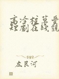 高冷校草爱上我短剧在线观看