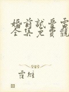 婚前试爱电视剧全集免费观看高清