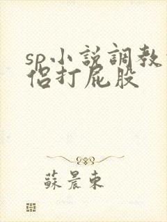 sp小说调教情侣打屁股