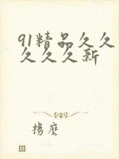 91精品久久久久久久新