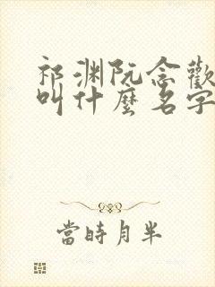 祁渊阮念欢小说叫什么名字