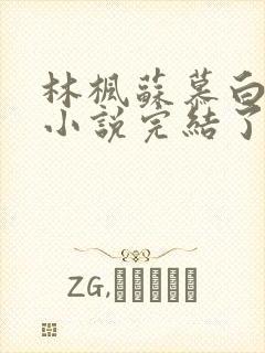 林枫苏慕白穿越小说完结了吗怎么看