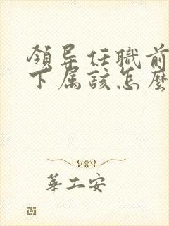 领导任职前谈话下属该怎么说