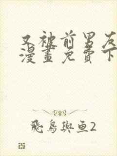 又被前男友盯上漫画免费下拉观看全集