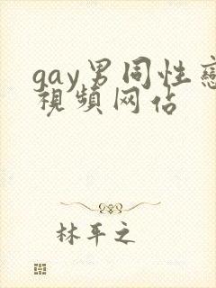 gay男同性恋视频网站
