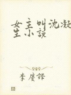 女主叫沈凝的重生小说