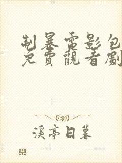 制暴电影包贝尔免费观看剧情介绍