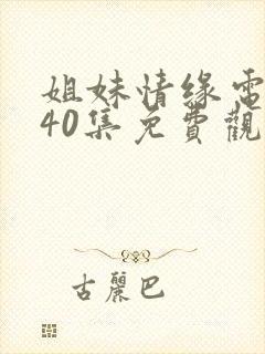 姐妹情缘电视剧40集免费观看在线