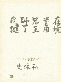 我师兄实在太稳健了主角境界封面