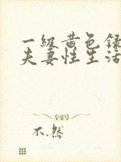 一级黄色录像 夫妻性生活影片